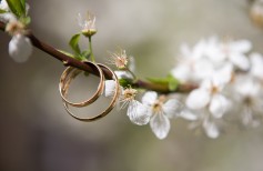 Curiosités sur le mariage : comment fête-on le mariage dans le monde curiosità matrimonio
