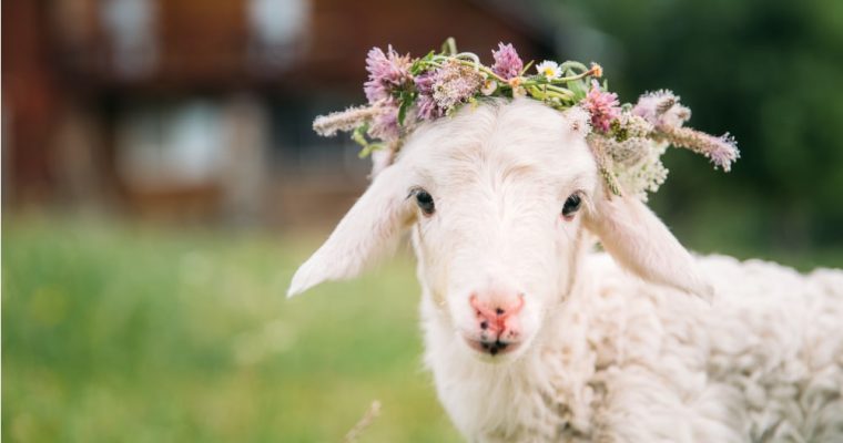 Les animaux symboles de la Pâques chrétienne