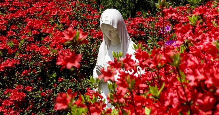 La Vierge au buisson de roses représentée par différents artistes