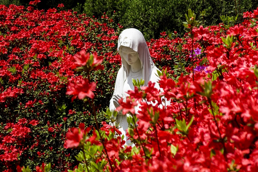 La Vierge au buisson de roses représentée par différents artistes