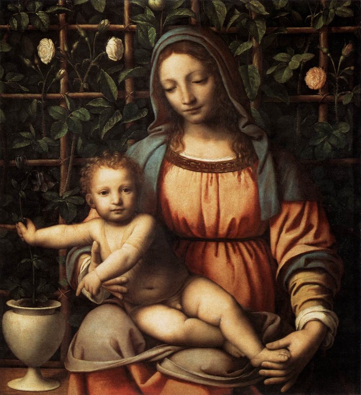 La Vierge de la Roseraie de Bernardino Luini