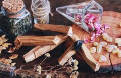 Le Palo Santo
