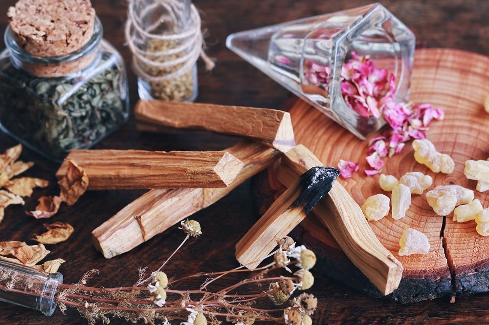 Le Palo Santo : propriétés et bénéfices de son bois précieux