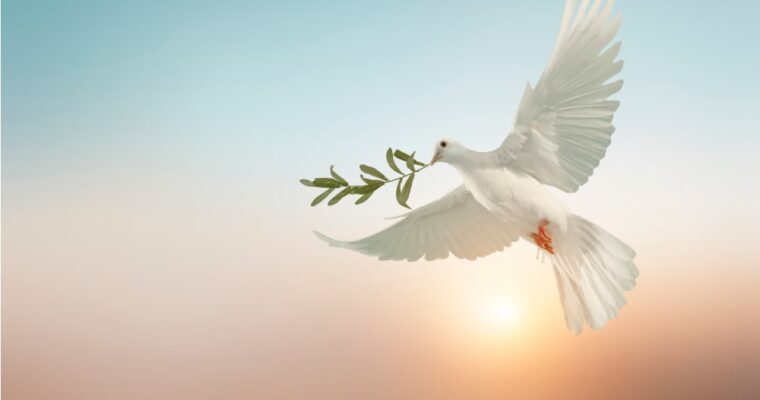 Les plus belles phrases sur la Paix de Pape François