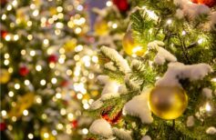 Combien consomment les luminaires de Noël