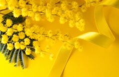 Symboles de force et d’amour, voici les Saints protecteurs des femmes