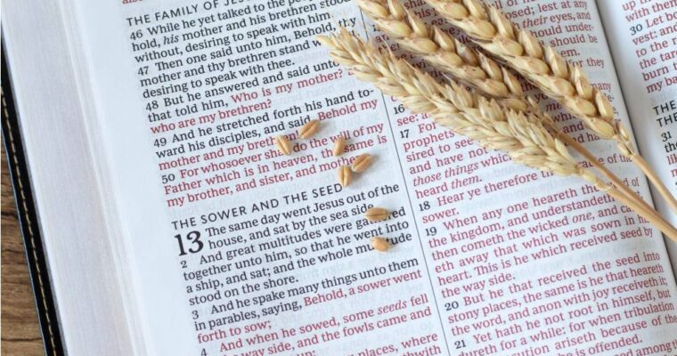 Toutes les paraboles de Jésus