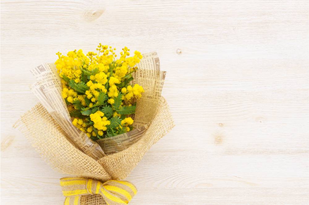 Journée internationale des Femmes, «icônes de la paix»