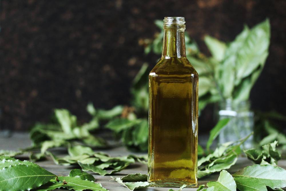 Liqueur au Laurier : Laurus 48 des frères Camaldules