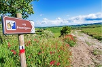 via francigena fr